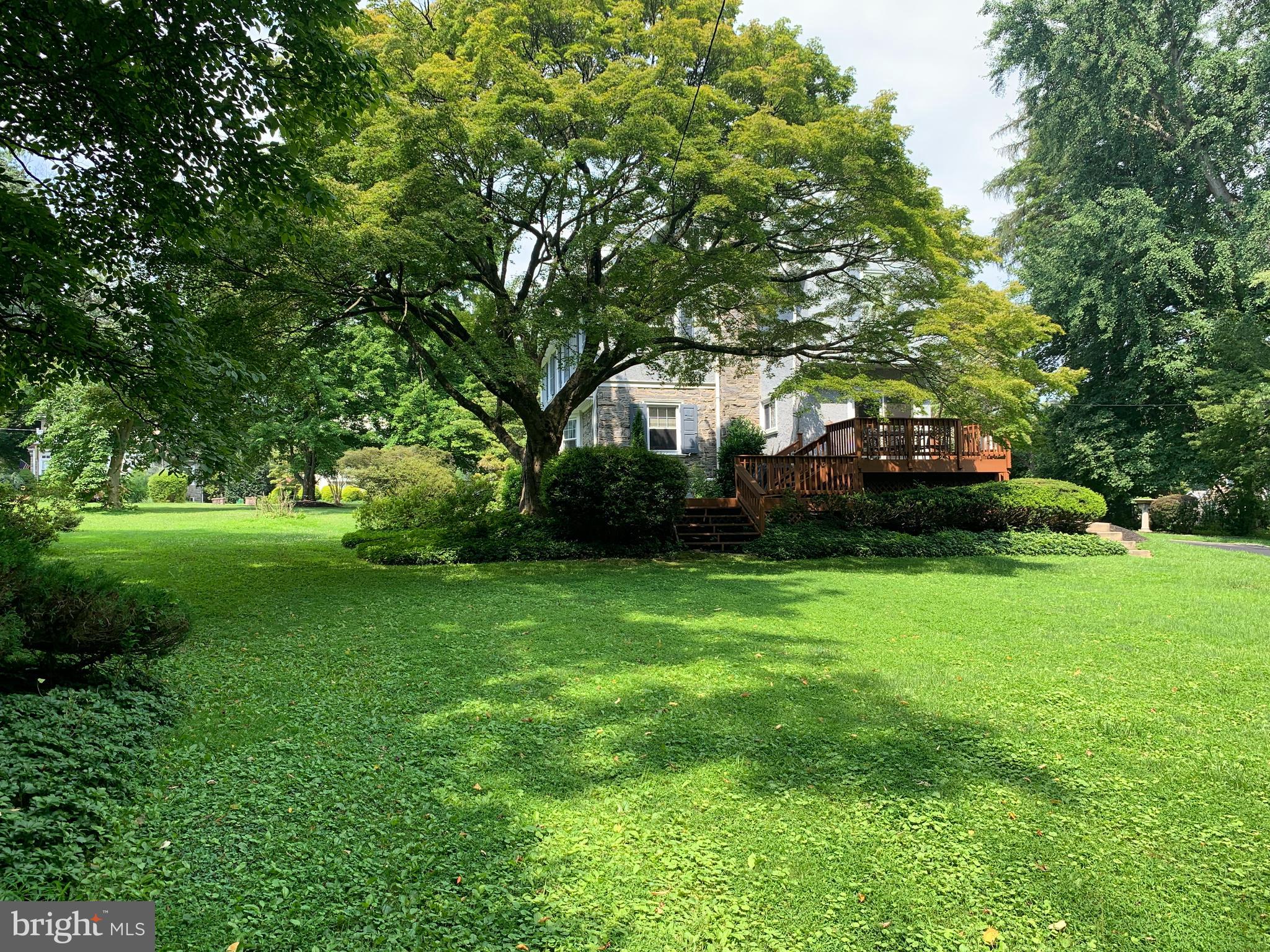 65 South Rolling Road Springfield, PA 19064 - Photo 9 of 70