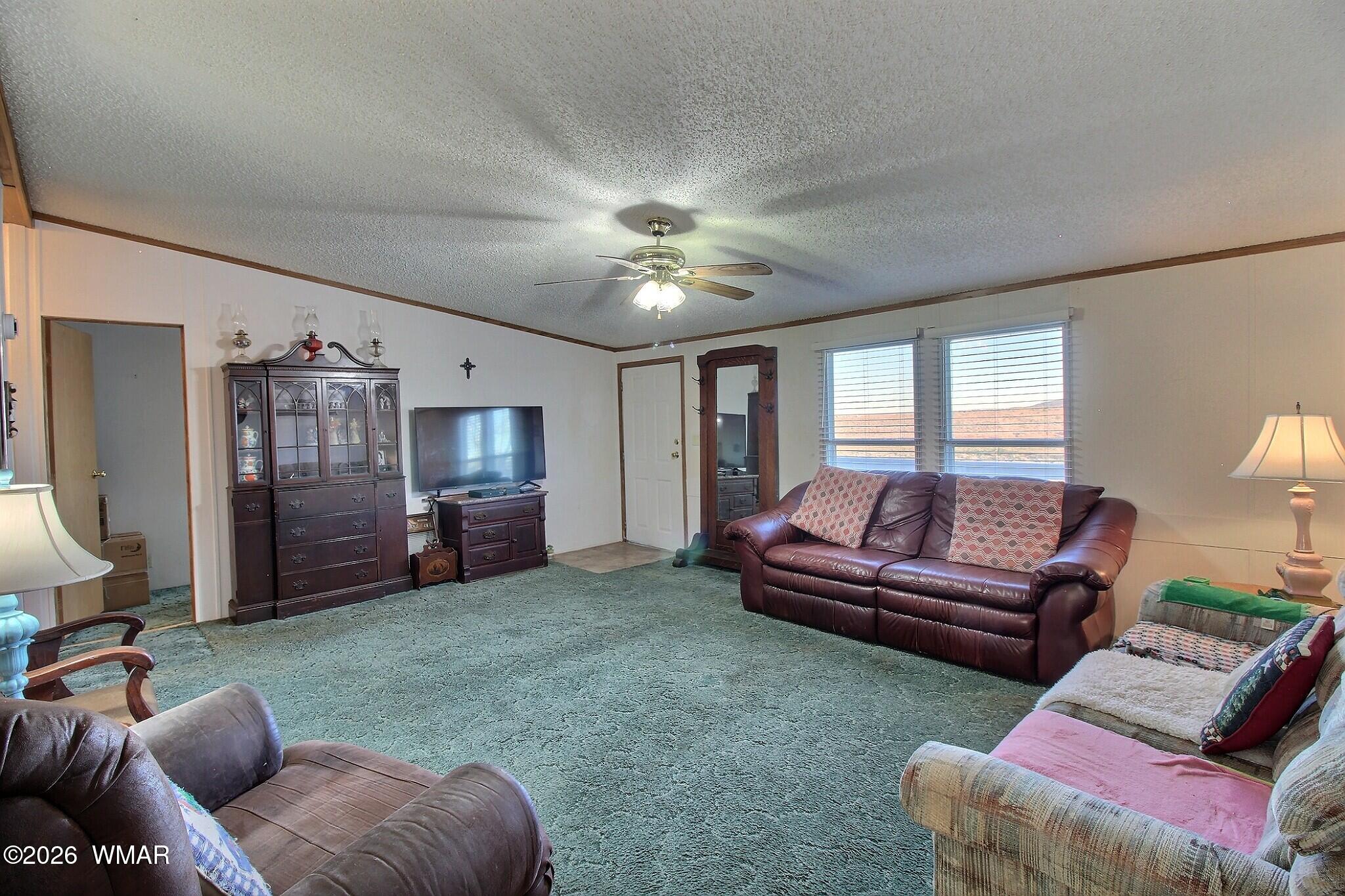4710 Hay Hollow Road Snowflake, AZ 85937 - Photo 5 of 20 a living room with furniture and a flat screen tv