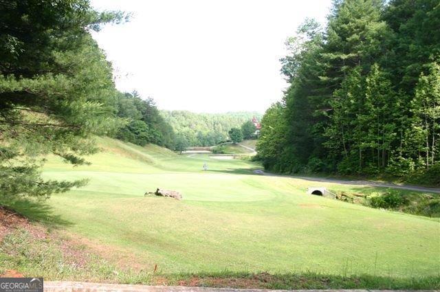 0 Bahn Innsbruck Helen, GA 30545 - Photo 12 of 14