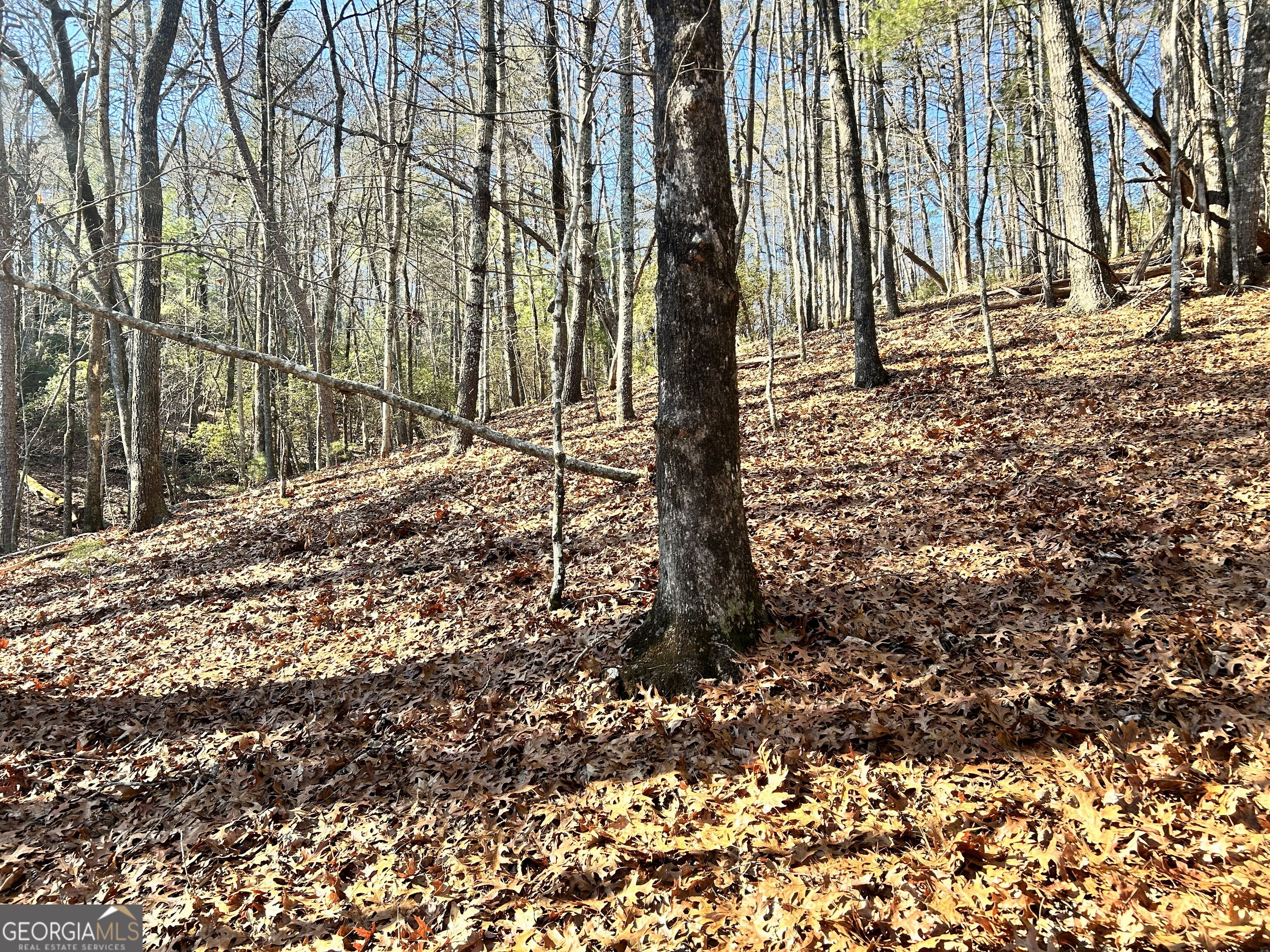 0 Bahn Innsbruck Helen, GA 30545 - Photo 3 of 14