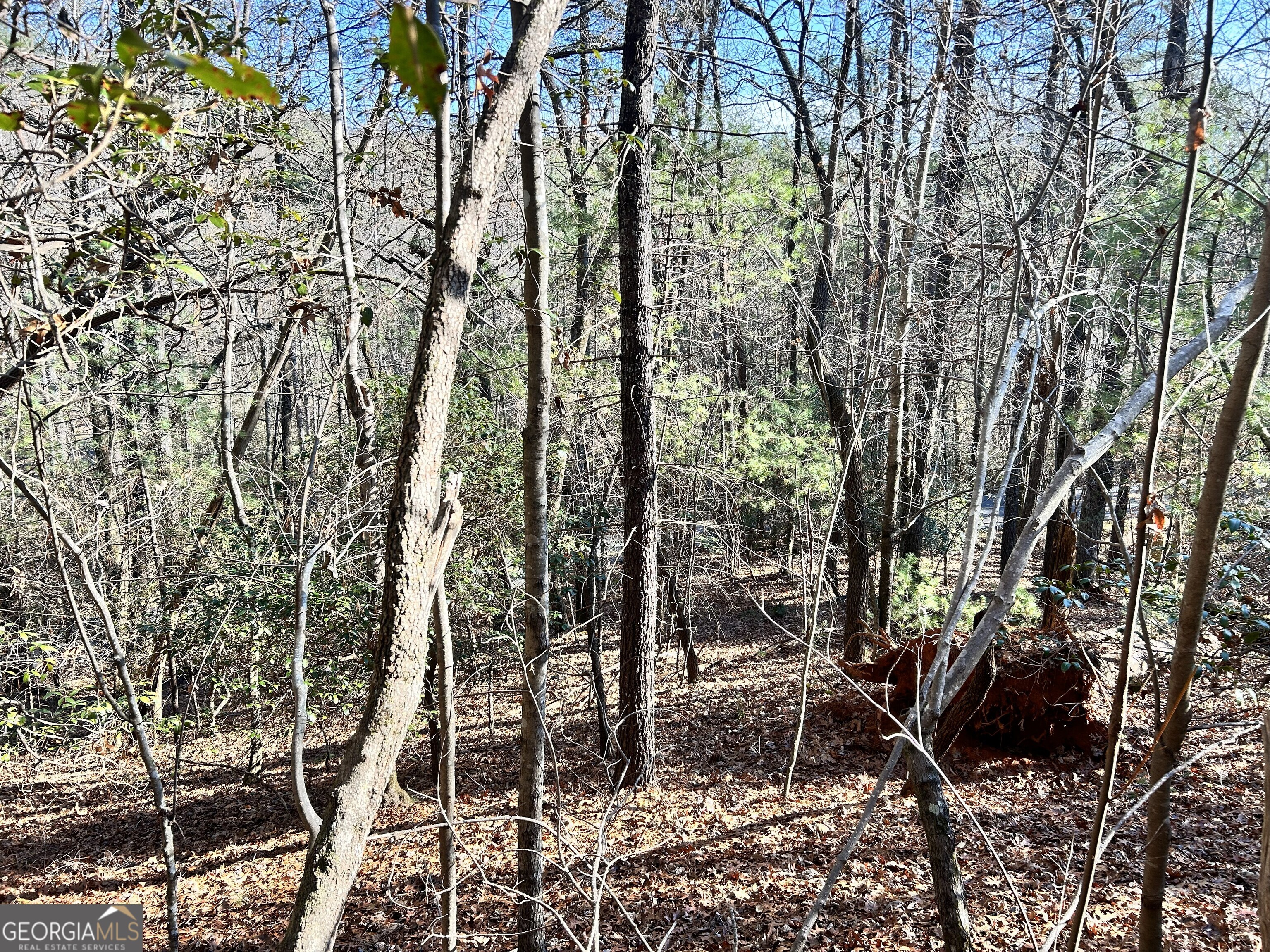 0 Bahn Innsbruck Helen, GA 30545 - Photo 4 of 14