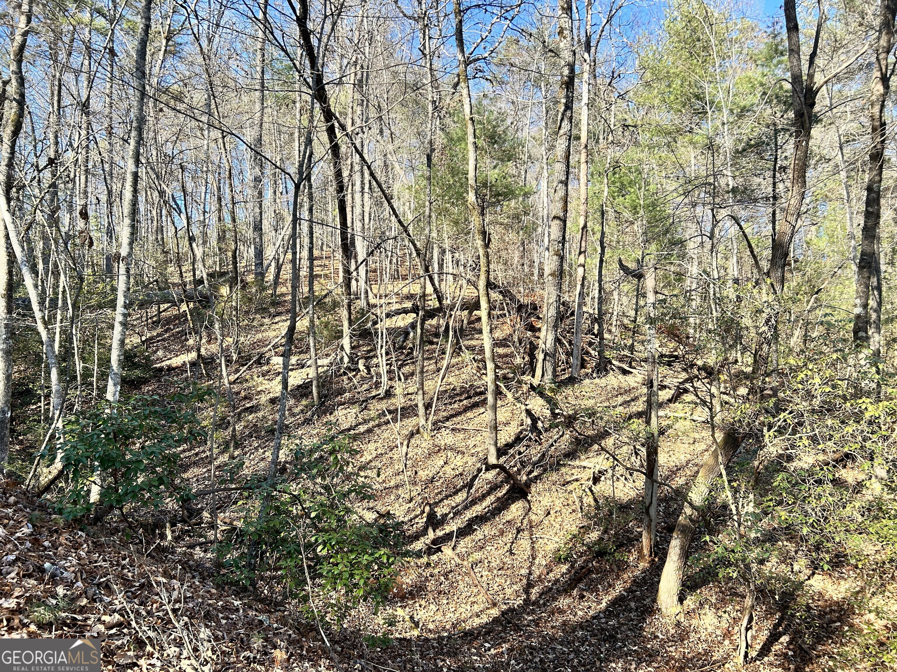 0 Bahn Innsbruck Helen, GA 30545 - Photo 5 of 14