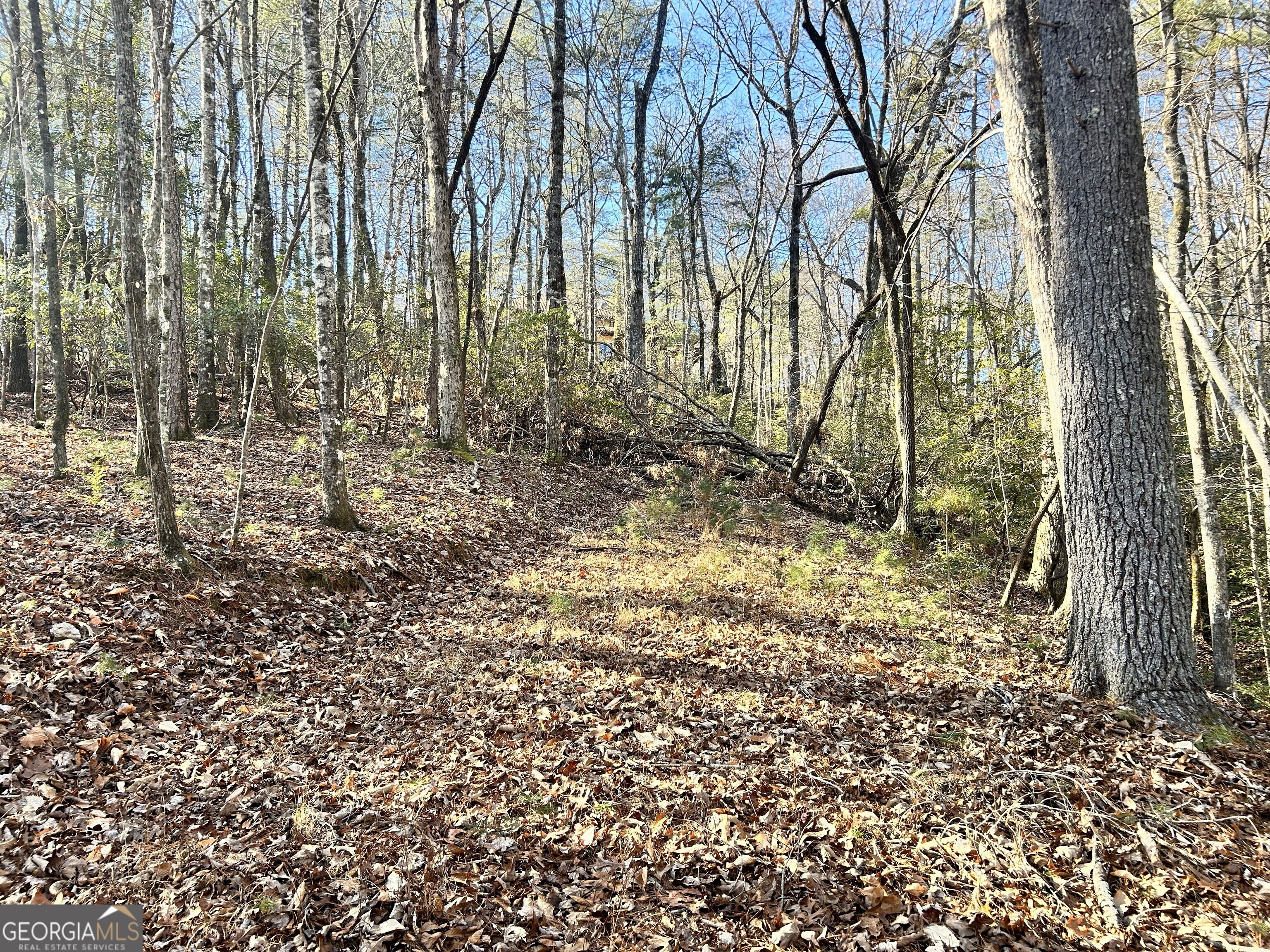 0 Bahn Innsbruck Helen, GA 30545 - Photo 6 of 14