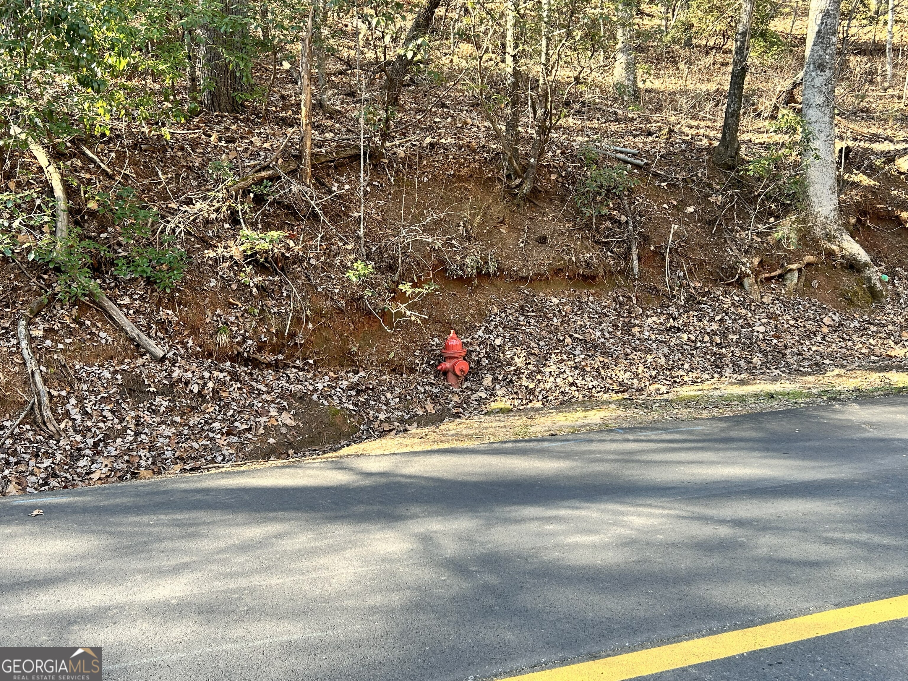 0 Bahn Innsbruck Helen, GA 30545 - Photo 8 of 14