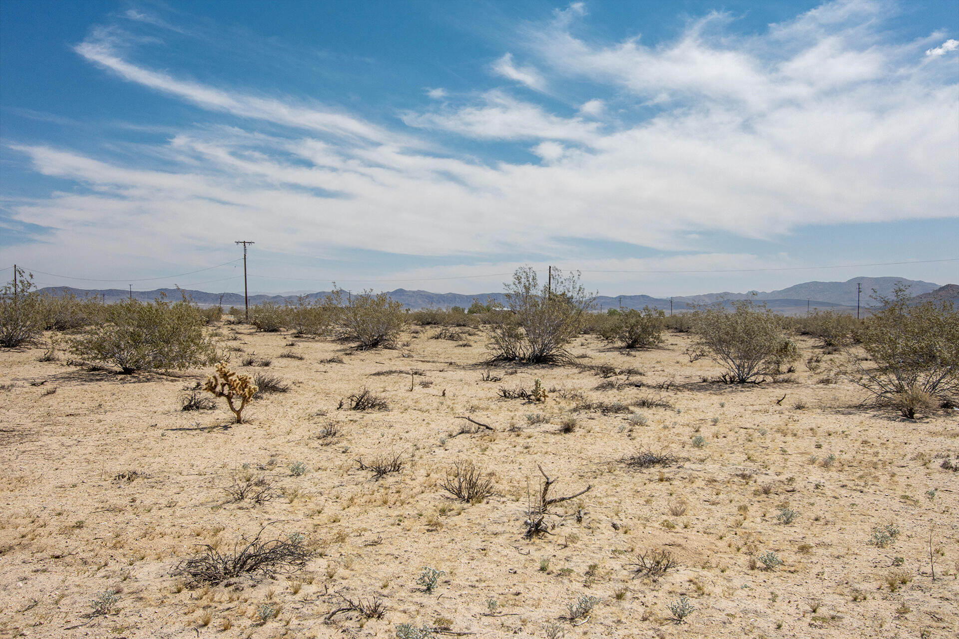 305 2 Mile Road Joshua Tree, CA 92252 - Photo 20 of 28 IMG_9507