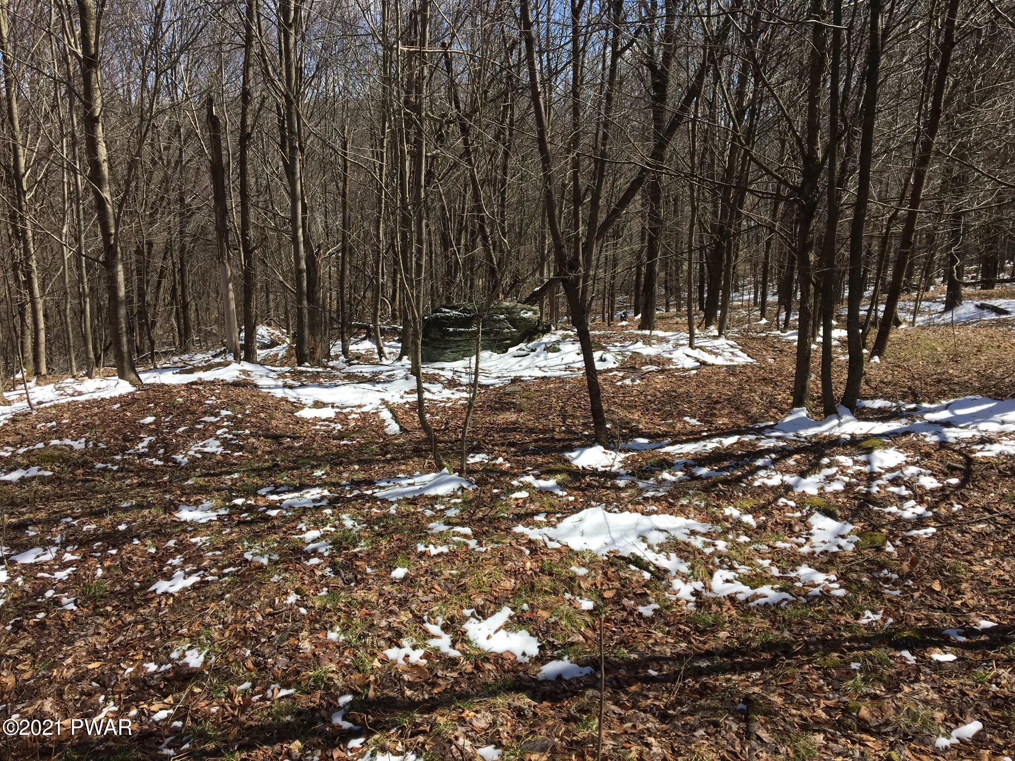 Starrucca Creek Road Susquehanna, PA 18847 - Photo 11 of 11