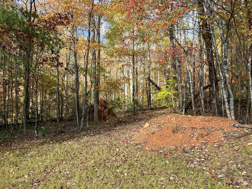 39 A Hedden Stiles Road Murphy, NC 28906 - Photo 1 of 30 Main View