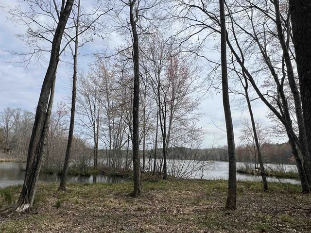 a view of backyard with trees