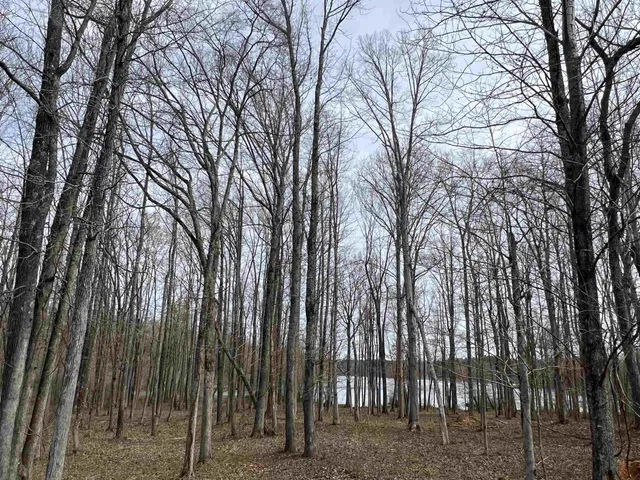 a view of outdoor space with lots of trees