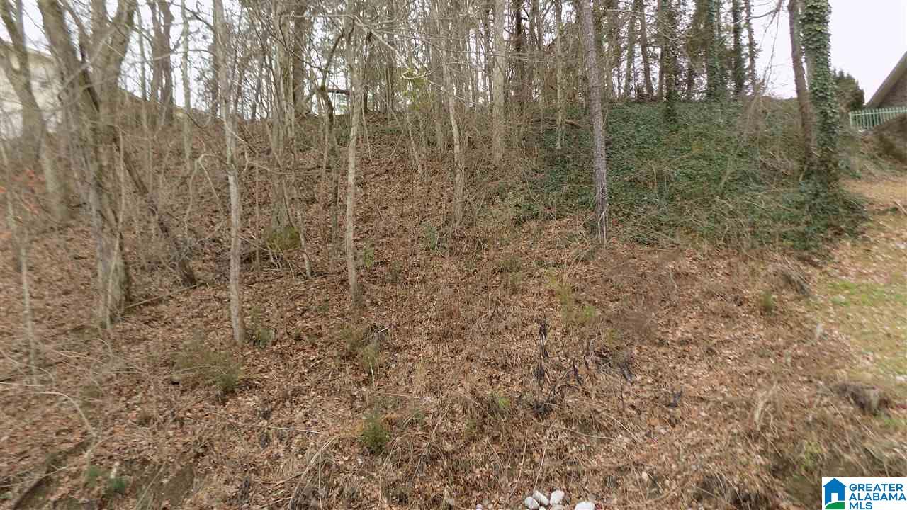 Xx Lister Ferry Road, Unit XX Rainbow City, AL 35906 - Photo 9 of 15