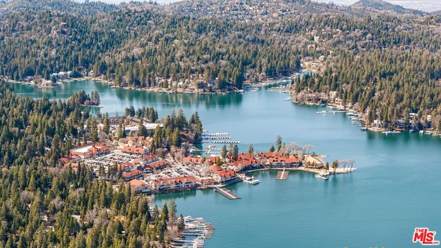 a view of a lake with boats and trees in the background
