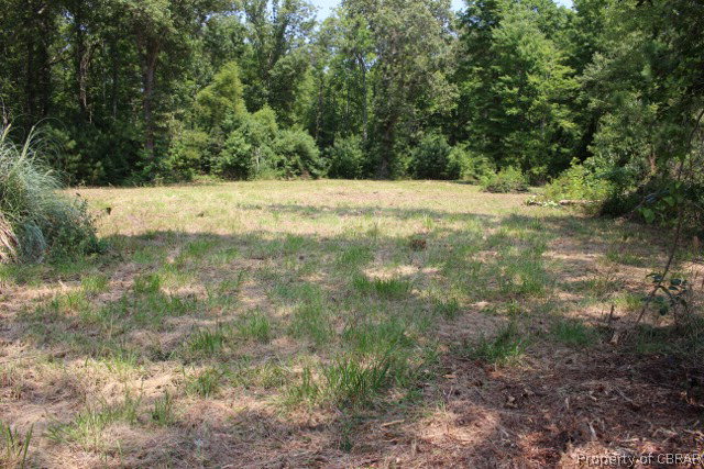 0 Buckchase Road Hudgins, VA 23076 - Photo 5 of 6