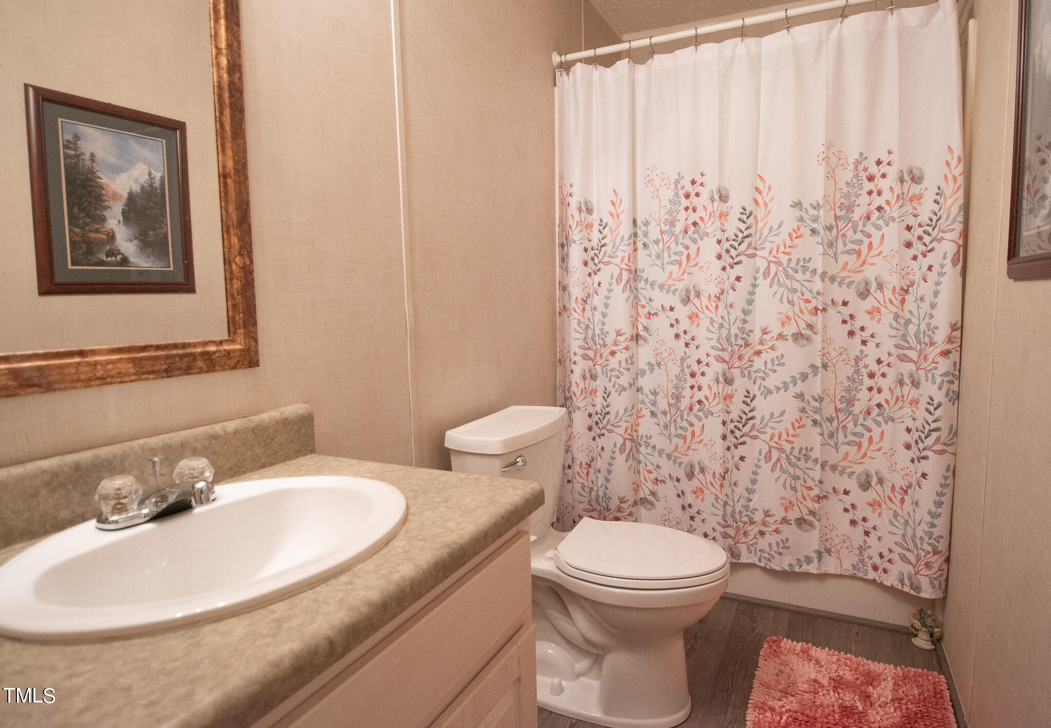 5446 Thompson Mill Road Graham, NC 27253 - Photo 14 of 36 Hall Bath