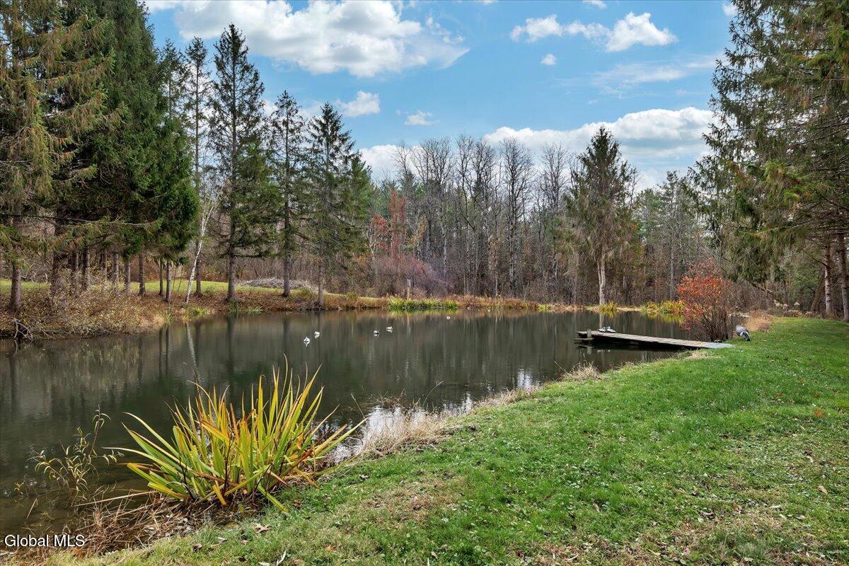 424 Gower Road Glenville, NY 12302 - Photo 4 of 79 55-P1606657