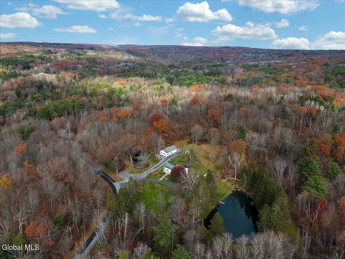 424 Gower Road Glenville, NY 12302 - Photo 70 of 79 72-DJI_20251114115130_0951_D