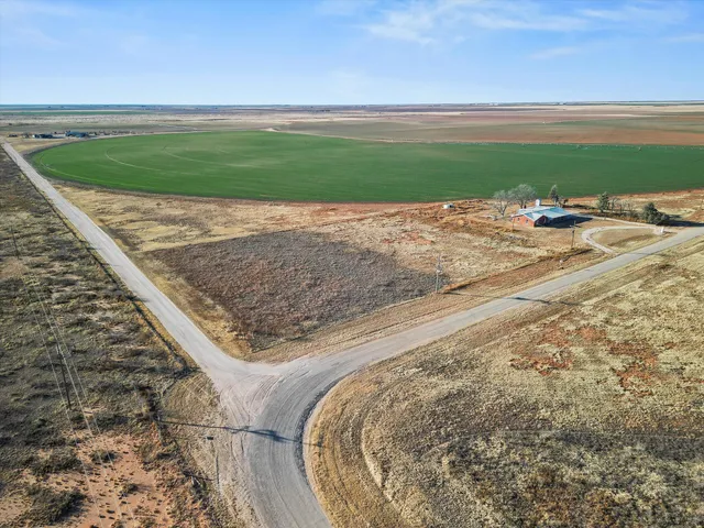a view of a livingroom with a fireplace and a chandelier fan