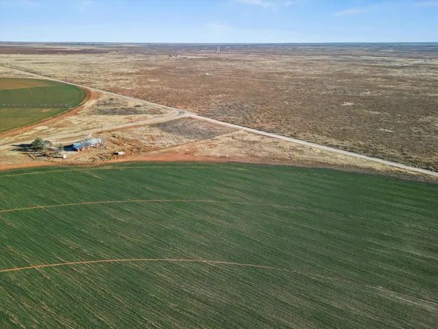 a view of a big room with wooden floor and windows