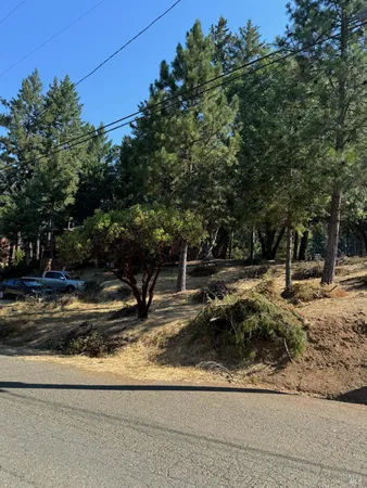 a view of a park with of trees