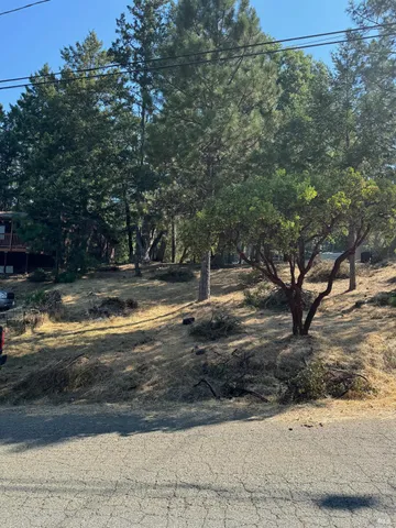 a view of a yard with large trees