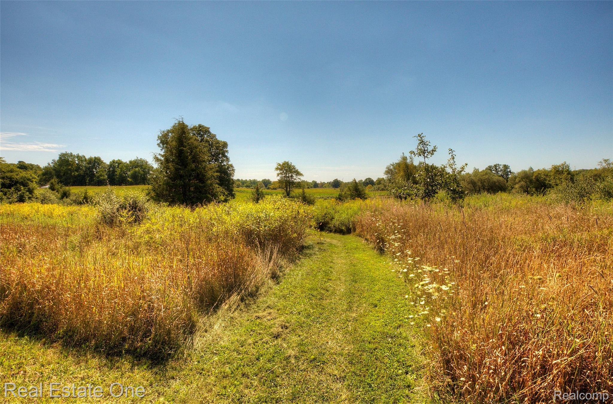 5243 Walsh Road Whitmore Lake, MI 48189 - Photo 16 of 98 4H8A8100_1_2.jpg