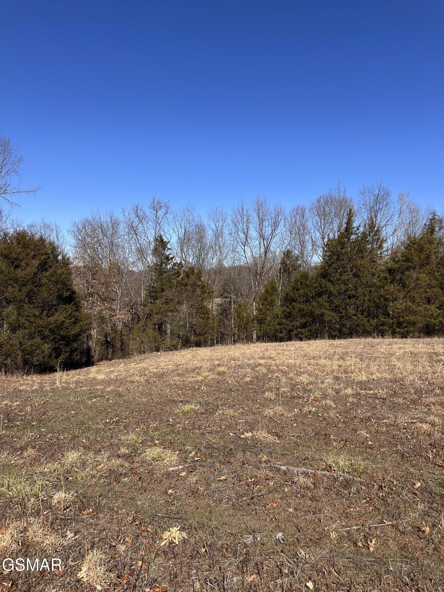24265 South Mohawk Road Midway, TN 37809 - Photo 47 of 56