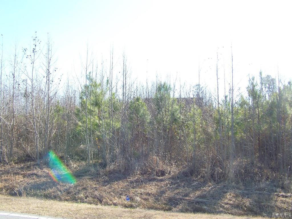 0 Keys Cross Road Hobbsville, NC 27946 - Photo 1 of 6 Main View