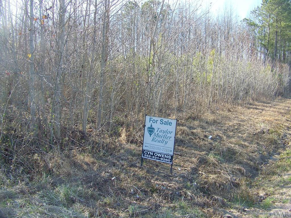 0 Keys Cross Road Hobbsville, NC 27946 - Photo 2 of 6 Gallery Image 2