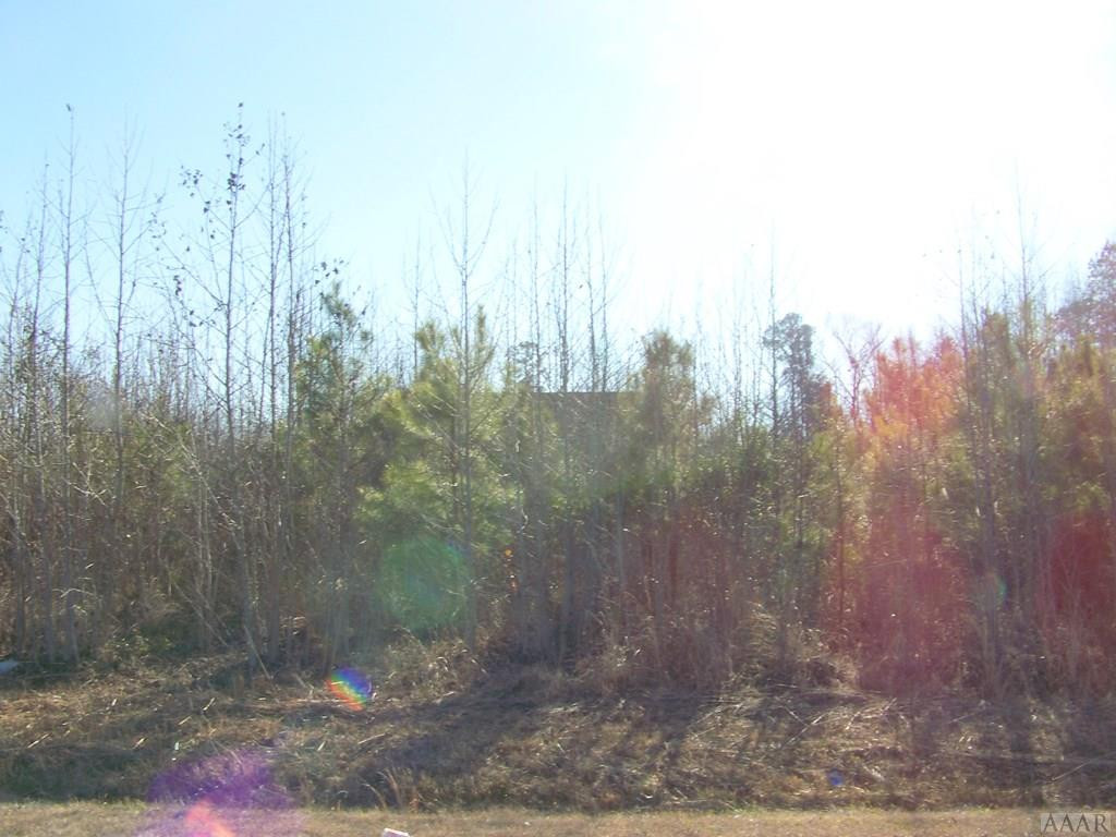 0 Keys Cross Road Hobbsville, NC 27946 - Photo 6 of 6 Gallery Image 6
