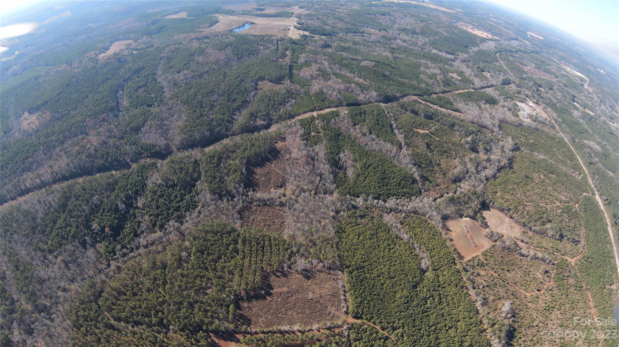 Tbd Pit Road Lilesville, NC 28091 - Photo 3 of 13 Gallery Image 3