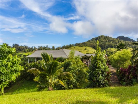 5704 Olohena Road Kapaa, HI 96746 - Photo 1 of 22 Gallery Image 1
