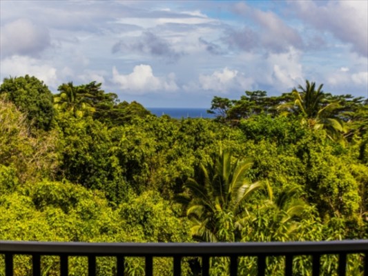 5704 Olohena Road Kapaa, HI 96746 - Photo 5 of 22 Gallery Image 5