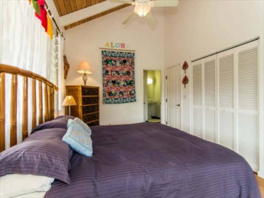 5704 Olohena Road Kapaa, HI 96746 - Photo 9 of 22 Gallery Image 9