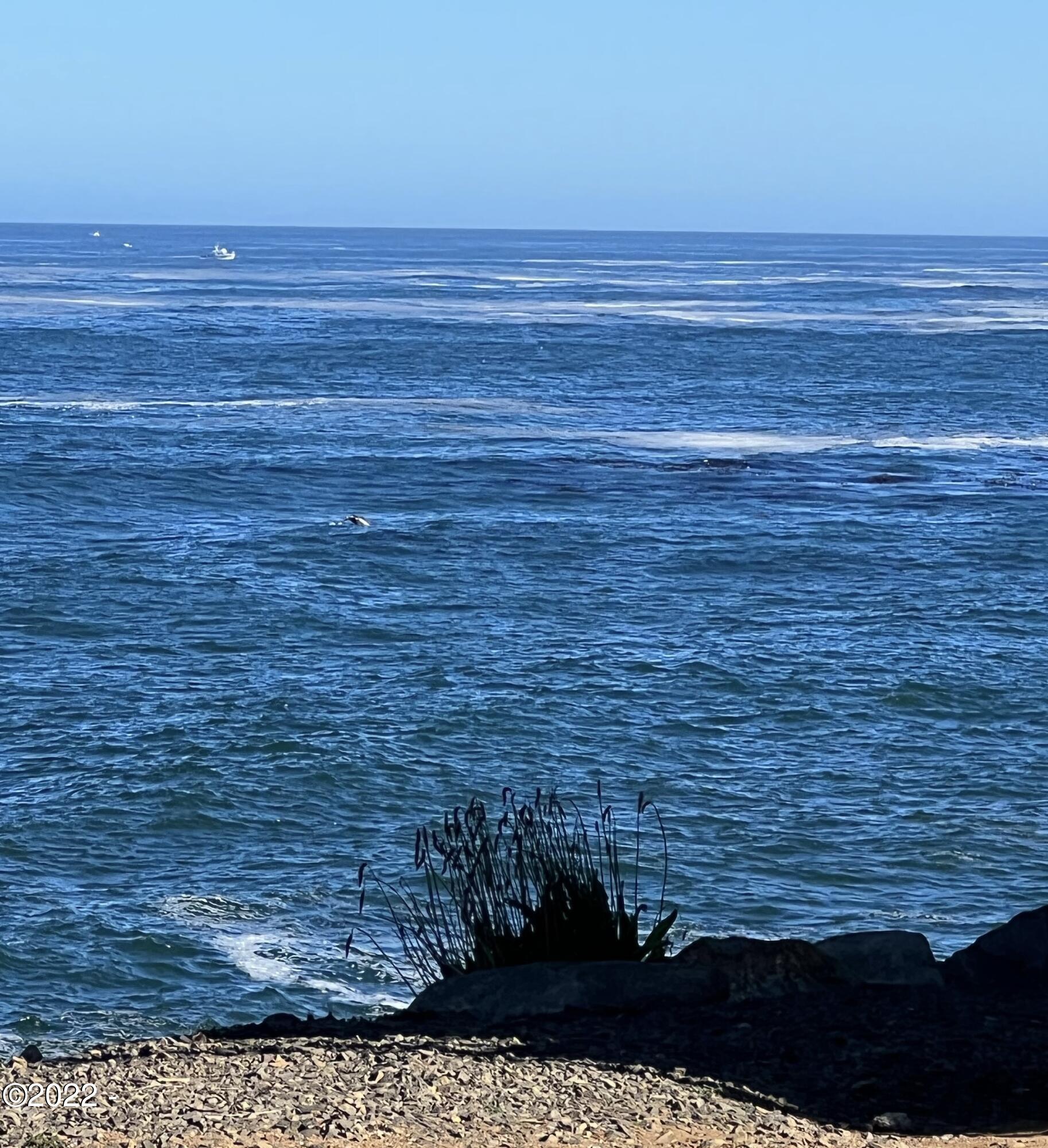 Lot 2 Southwest Point Avenue Otter Rock, OR 97369 - Photo 8 of 8 whale tail