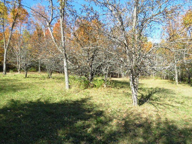 1 Stickney Bridge Road Jay, NY 12941 - Photo 7 of 9 Gallery Image 7