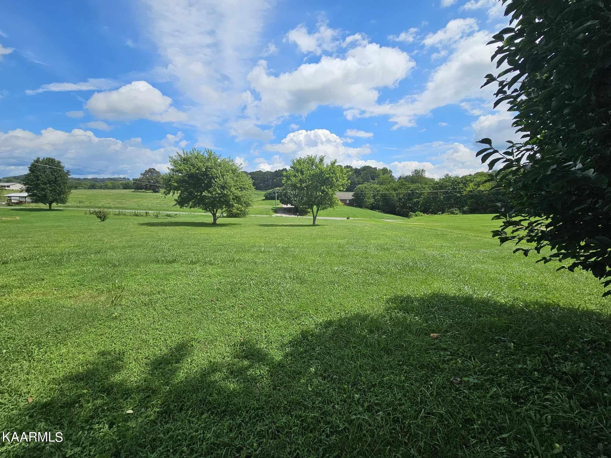 261 Ely Road Bulls Gap, TN 37711 - Photo 25 of 28 367526302_3173600609615874_2234613359812