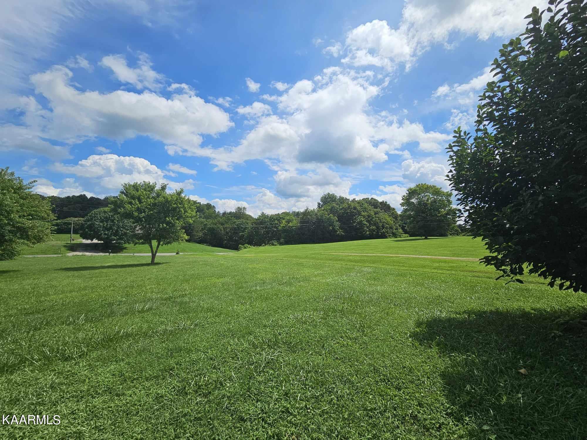 261 Ely Road Bulls Gap, TN 37711 - Photo 26 of 28 367526738_1214351959242578_7991910383246