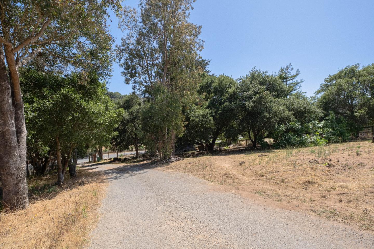 143 Tucker Road Watsonville, CA 95076 - Photo 34 of 42 a view of road with trees