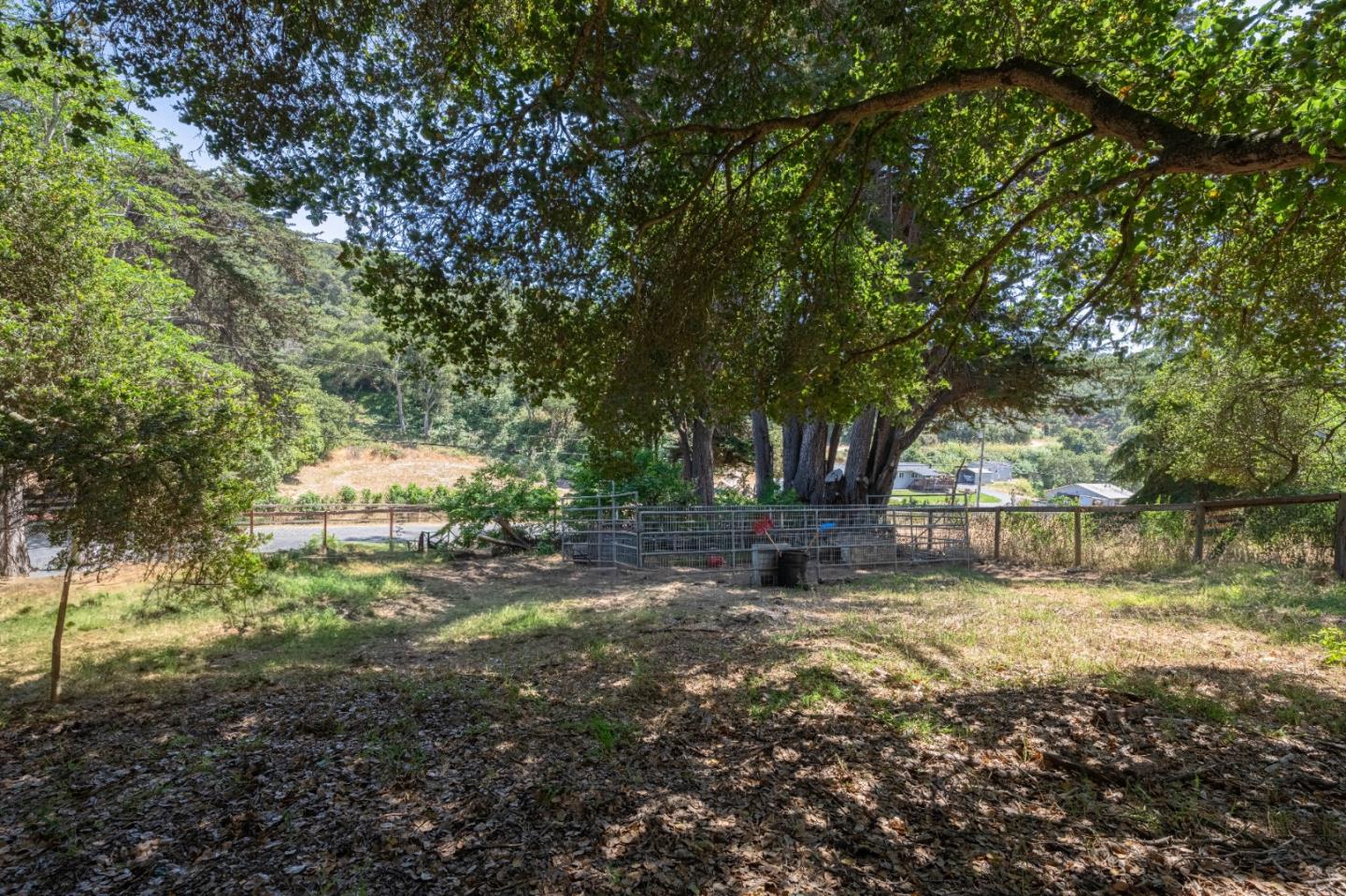 143 Tucker Road Watsonville, CA 95076 - Photo 39 of 42 a view of a yard with large trees
