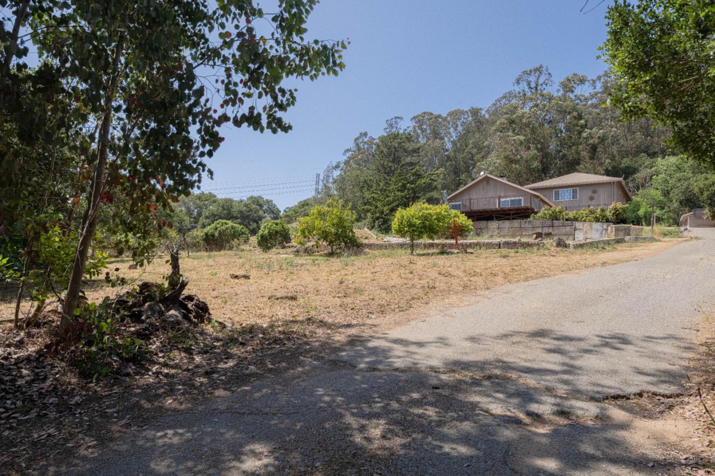 143 Tucker Road Watsonville, CA 95076 - Photo 41 of 42 a view of a yard with plants and a large tree