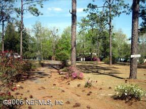 307 Southeast 46th Loop Keystone Heights, FL 32656 - Photo 4 of 10 Roadside Yard