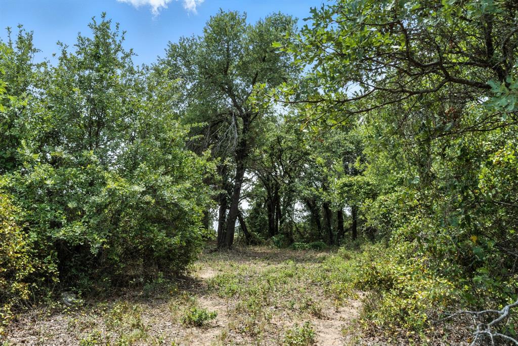 2200 Addison Road, Unit 30A Lipan, TX 76462 - Photo 13 of 27 a view of a lush green forest