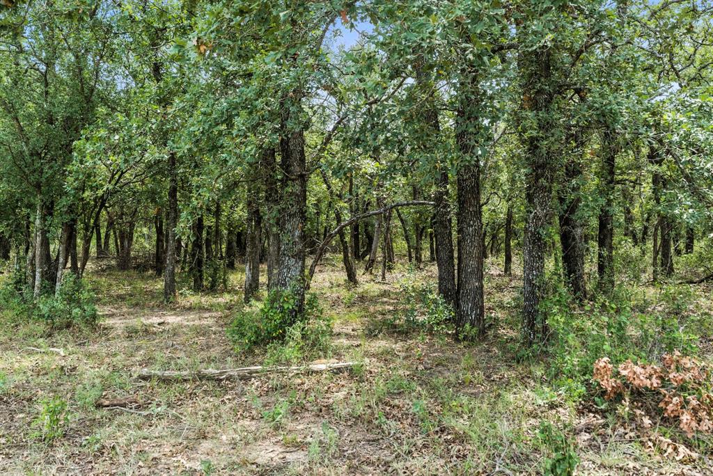 2200 Addison Road, Unit 30A Lipan, TX 76462 - Photo 14 of 27 a backyard of a house with lots of green space