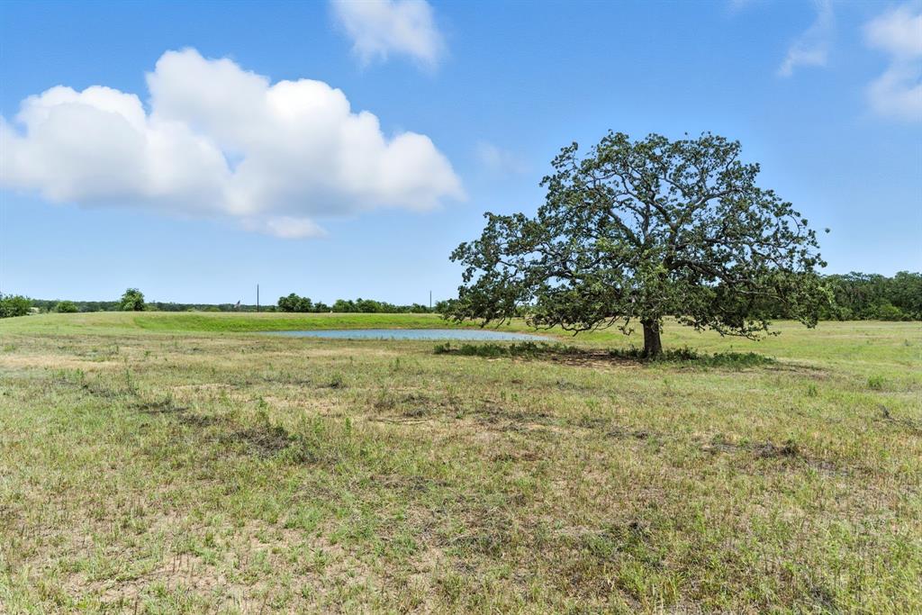 2200 Addison Road, Unit 30A Lipan, TX 76462 - Photo 2 of 27 a view of a large trees with lots of green space