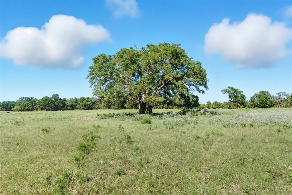 2200 Addison Road, Unit 30A Lipan, TX 76462 - Photo 3 of 27 a view of outdoor space and yard