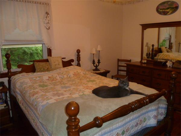 56 Maple Avenue Ware, MA 01082 - Photo 24 of 30 Gallery Image 24