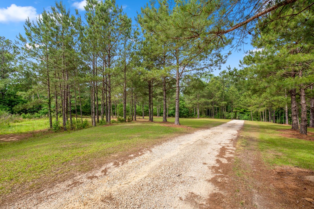 240 Cedar Springs Road Ashford, AL 36312 - Photo 12 of 71