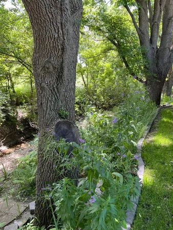 $289,000 | 600 Plum Avenue, Windom, MN 56101