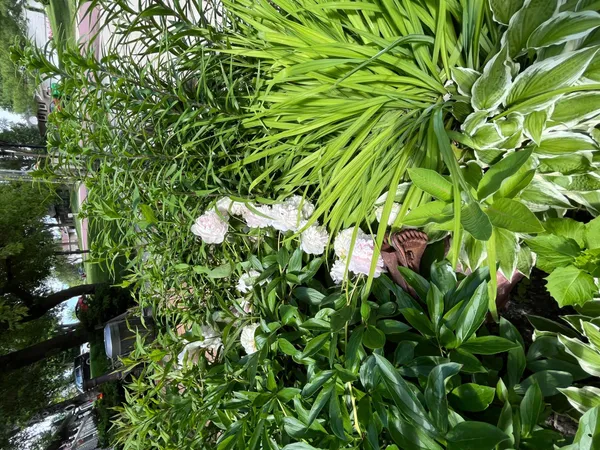 $289,000 | 600 Plum Avenue, Windom, MN 56101