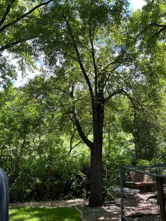 $289,000 | 600 Plum Avenue, Windom, MN 56101