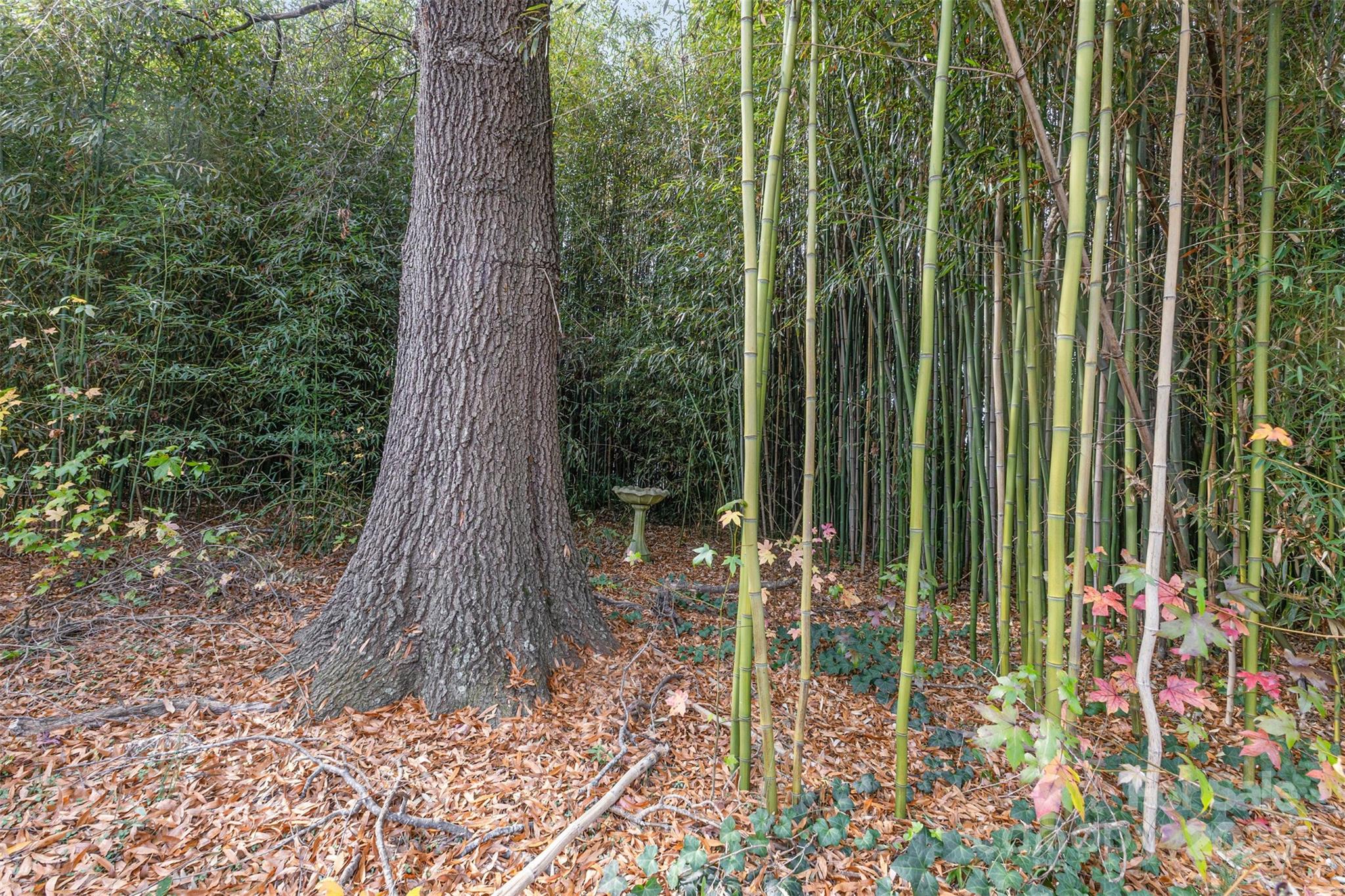 281 South Sutton Road Fort Mill, SC 29708 - Photo 19 of 21 a small garden view